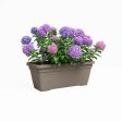 Plant pot Artevasi VENEZIA L SWS Brown Taupe (4 Pieces) Supply